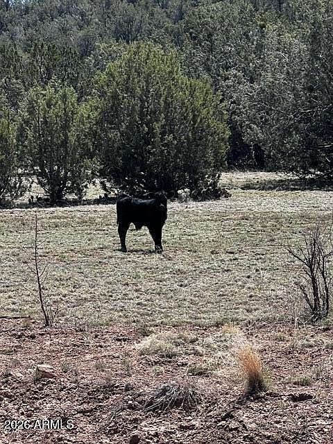 1st image of Lot 15 Juniper Mtn Ranches Unit 1 -- #15