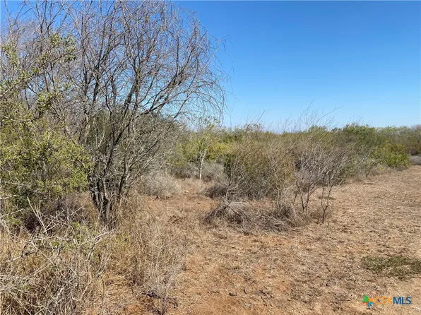 0 County Road 3081, Orange Grove, TX 78372