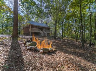 311 New Liberty Trl #2, Ellijay, GA 30536
