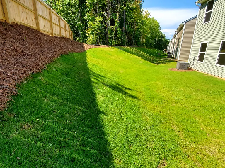 Beautiful Fenced Lawn/ Backyard