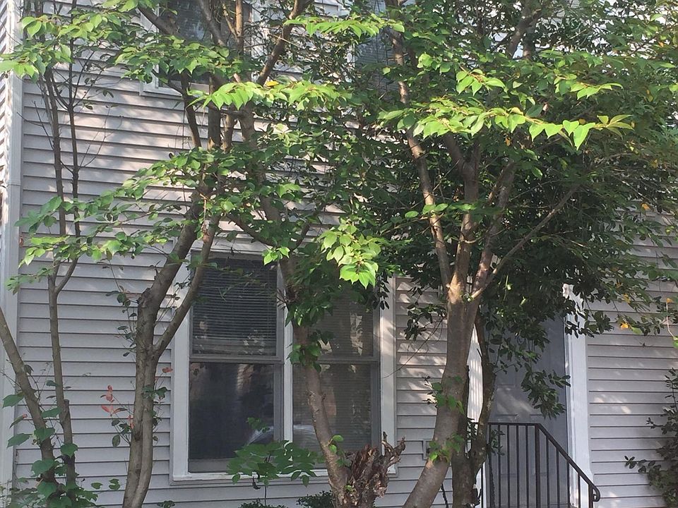 1st image of 10398 Rapidan Ln