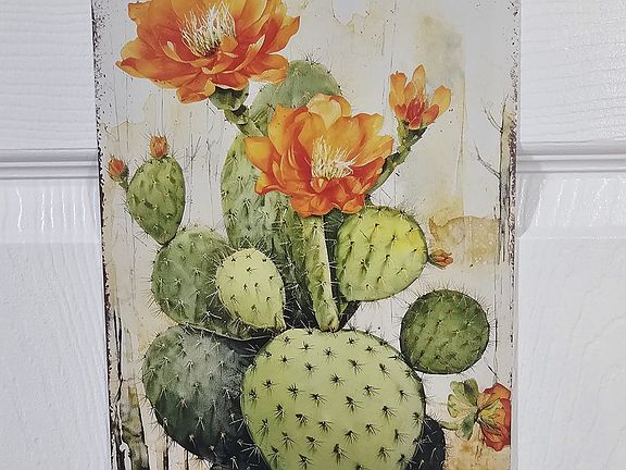 Entrance to the Cactus room