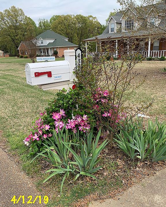 1st image of 4390 Jessica Dr