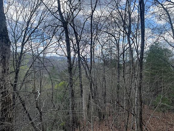 4th image of 58-1 Fontana Lake Dr