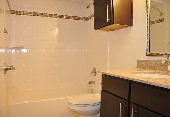 4th image of 5909 Birchbrook Dr APT 209