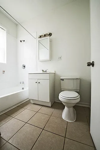 1115 S Karlov Ave 1115-17 S Karlov Chicago, IL 60624 Photo 1