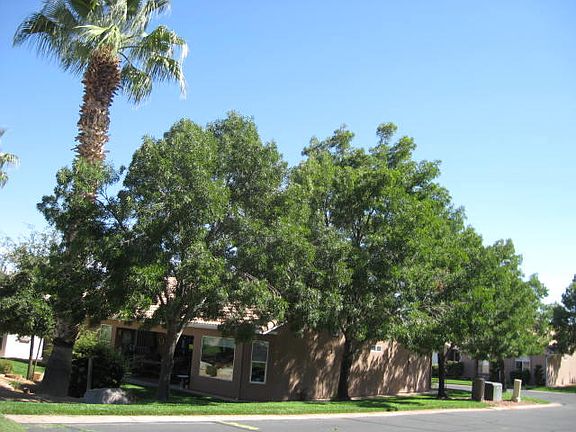2nd image of 210 N Mall Dr APT 115