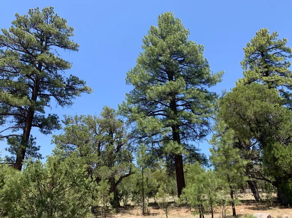 4628 Stargazer Dr, Happy Jack, AZ 86024