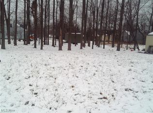 Arianna Ave, Lorain, OH 44052