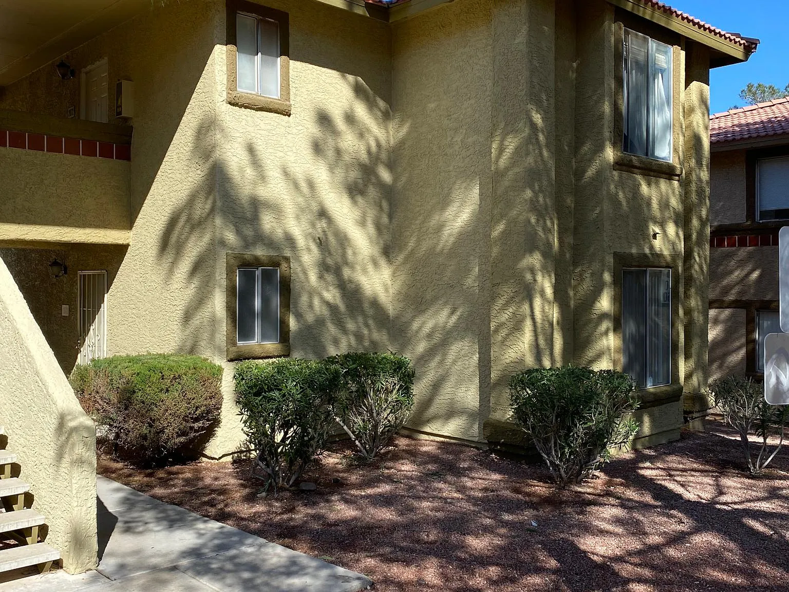 1 bed, 593 sqft, $1,000 — Photo 4