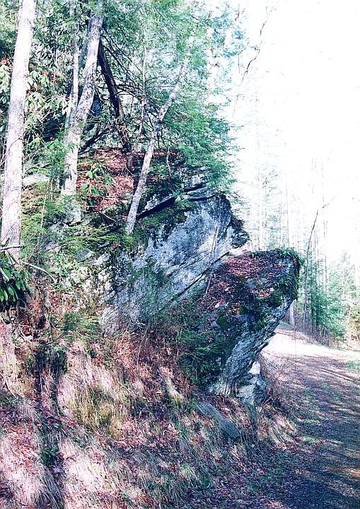 2nd image of 0 Morgan Creek Rd