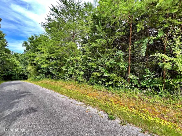 Ivy Moore Cir, Decatur, TN 37322