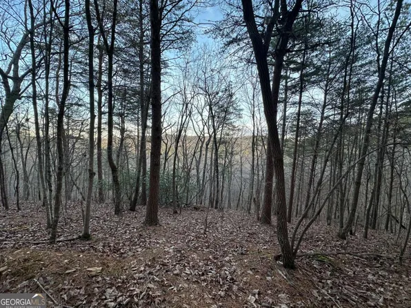 810 Bagwell Trl, Waleska, GA 30183