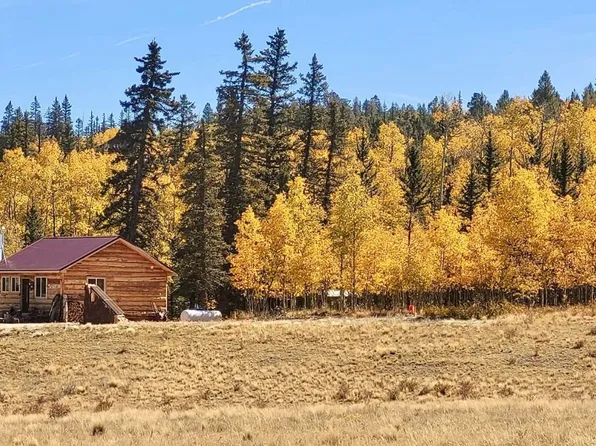 50 Puma Ct, Como, CO 80432