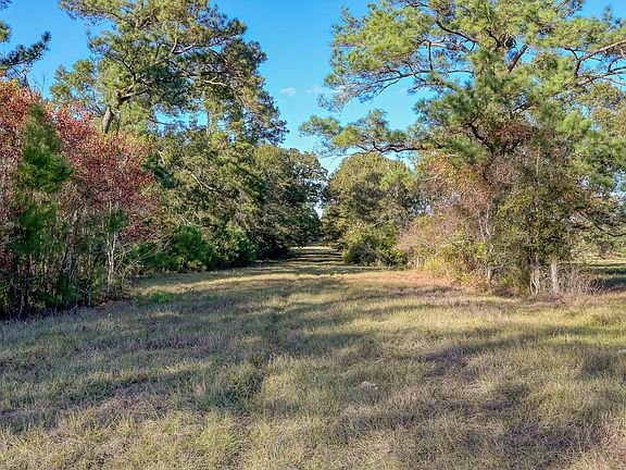 4th image of 75 Spring Branch Rd