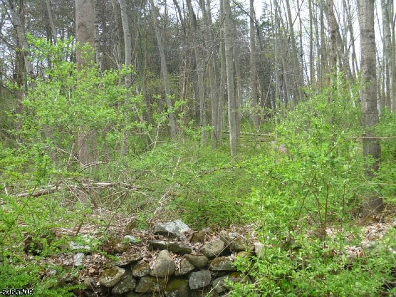 2nd image of 0 Dove Island Rd