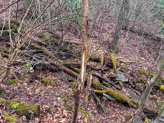 5th image of LOT 1 Red Rock Rd