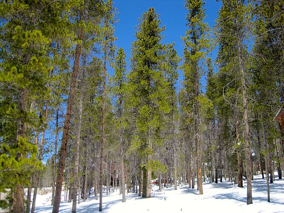 2nd image of 12 Imogene Cir
