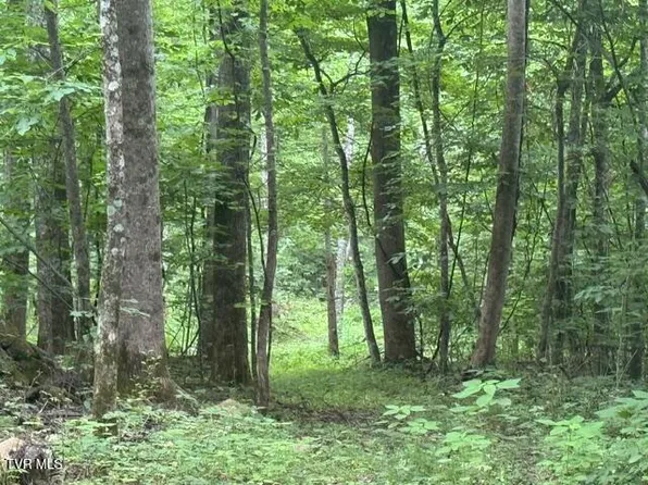 Sugar Loaf Mountain Rd, Marshall, NC 28753