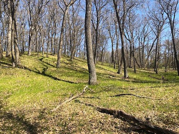 2nd image of Hidden Oaks Dr NW