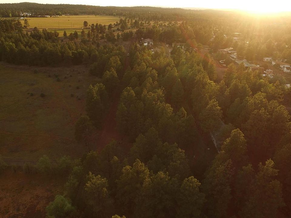 2893 Deer Trail
