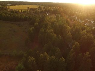 2893 Deer Trl, Lakeside, AZ 85929