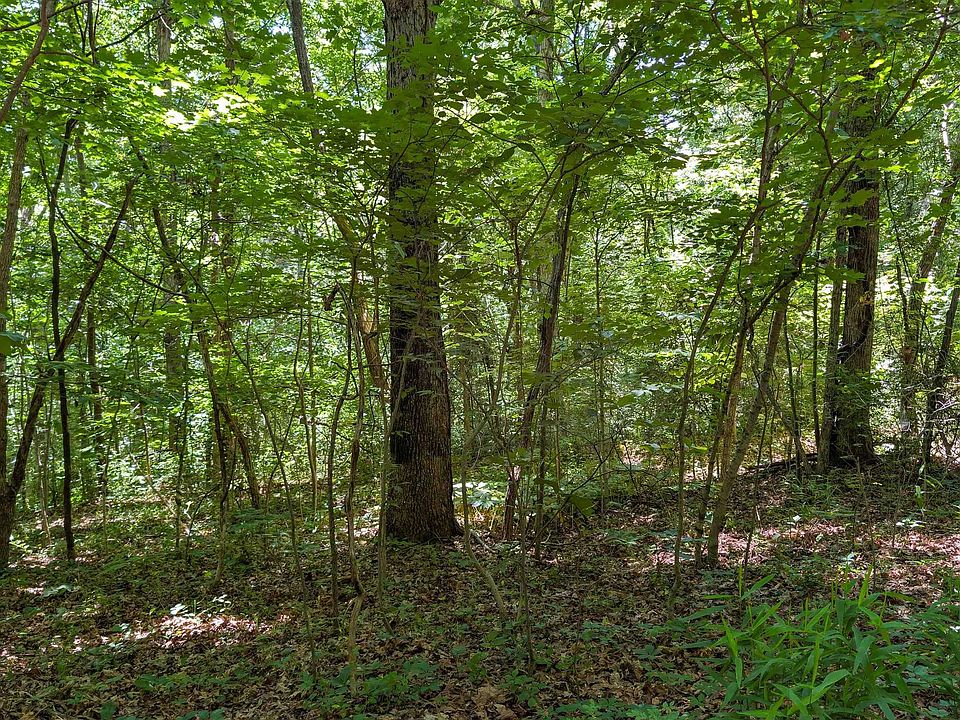 1st image of LOT 16 Bell Hollow Rd