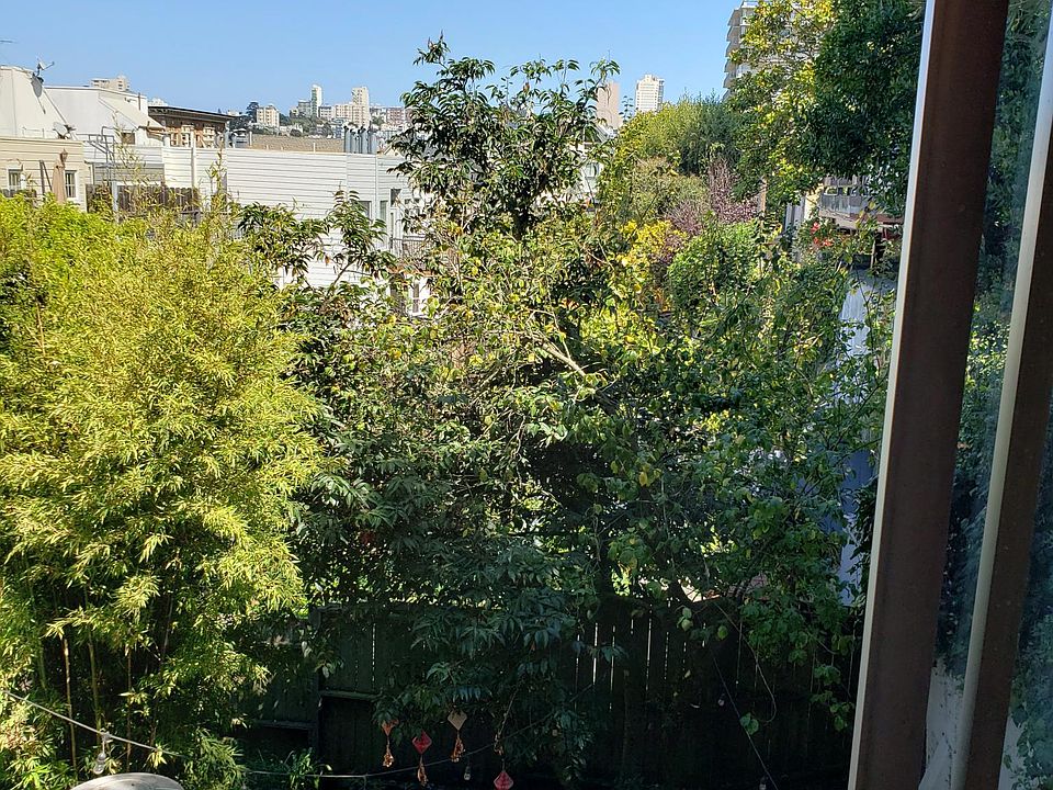 View of the garden from the apartment