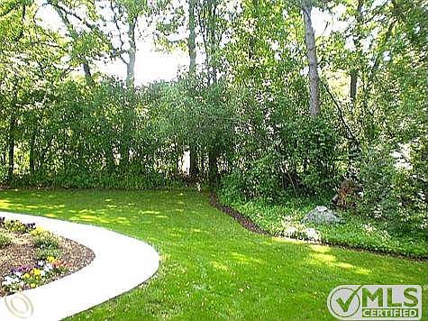 View from front porch 2