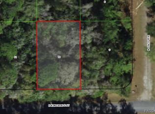 925 E Kingsdale St, Citrus Springs, FL 34434