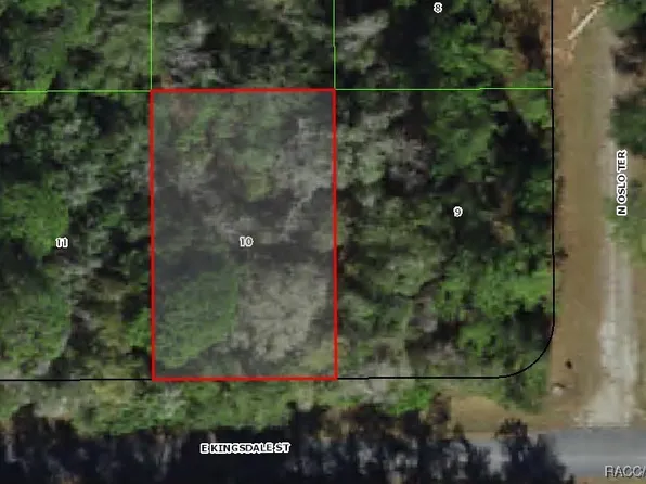 925 E Kingsdale St, Citrus Springs, FL 34434