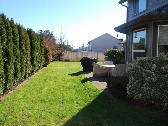 The backyard lawn