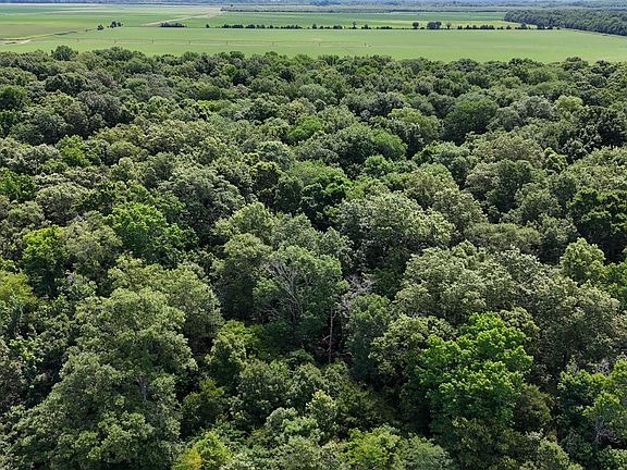 3rd image of County Road 529