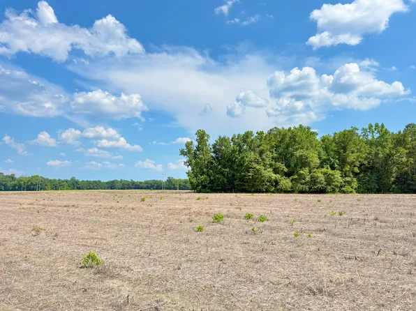 Blackmon Rd Lot Wp013, Nichols, SC 29581