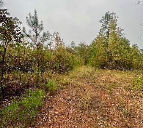 3rd image of 0 Cedar Grove Rd