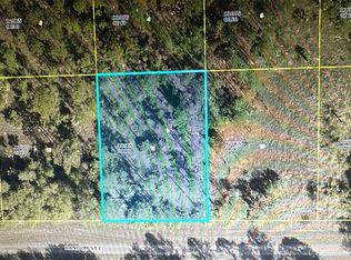 1241 Random St E, Lehigh Acres, FL 33974