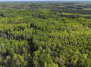 Town Rd #118, Birchdale, MN 56629