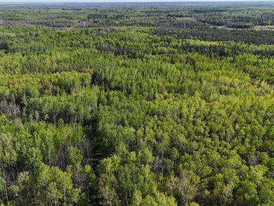 Town Rd #118, Birchdale, MN, 56629