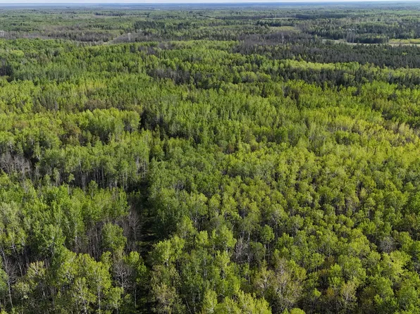 Town Rd #118, Birchdale, MN 56629