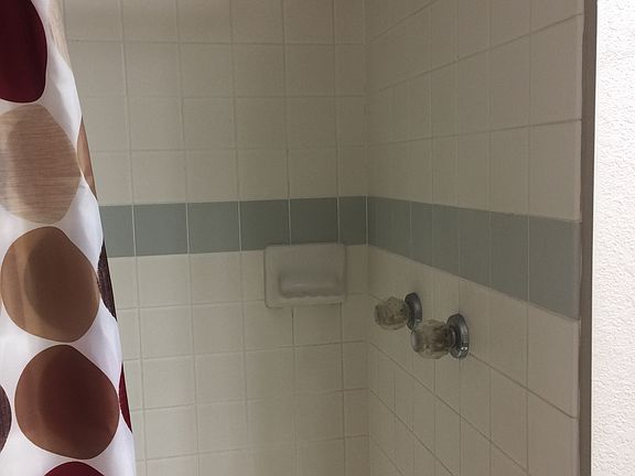 Master shower stall