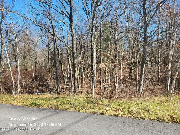 214 White Birch Dr, Long Pond, PA 18334