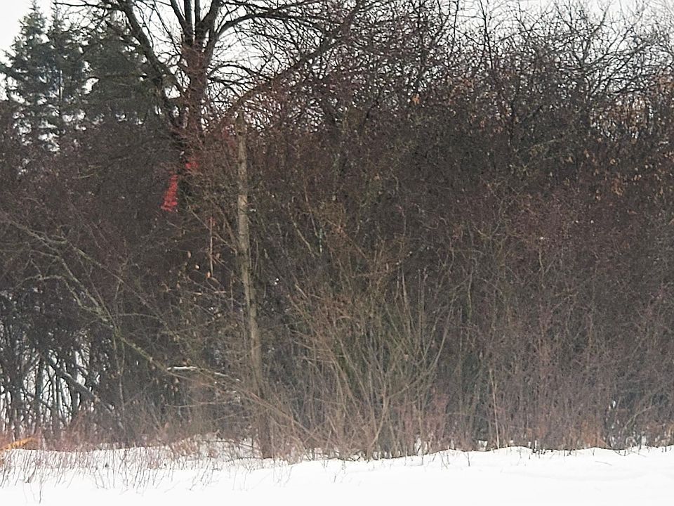 2nd image of 1009 Shunk Rd