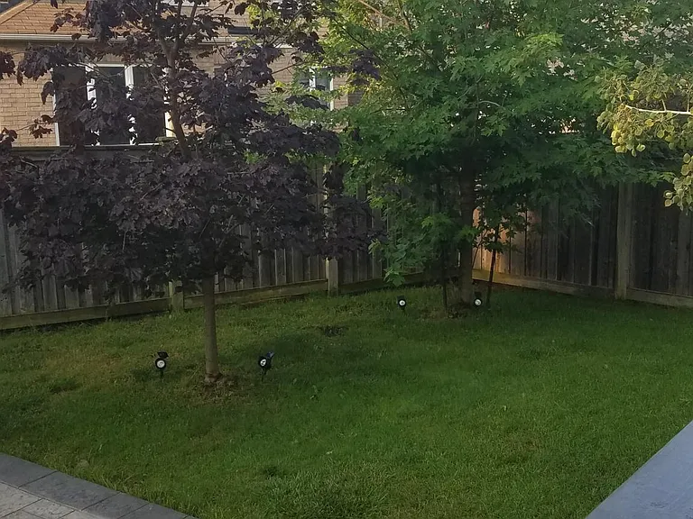 This is another view of the backyard. Full access to backyard and patio to potential tenants.