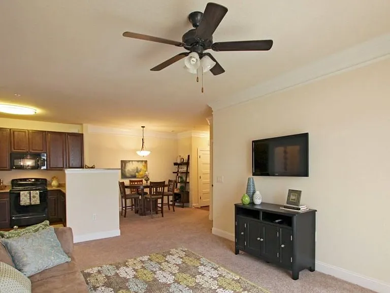 Briton Trace Apartments — Photo 27