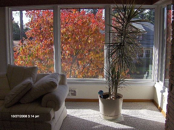 living room fall