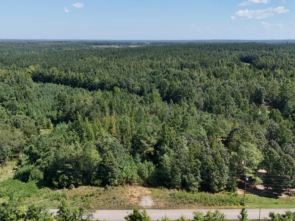 1258 Otis Paine Rd, Bethel Springs, TN 38315