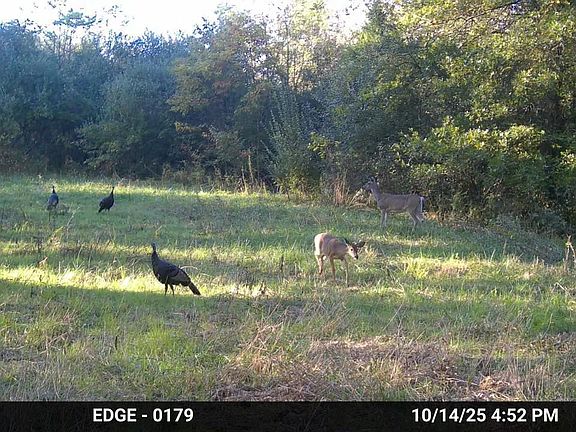 3rd image of 19168 County Line Rd