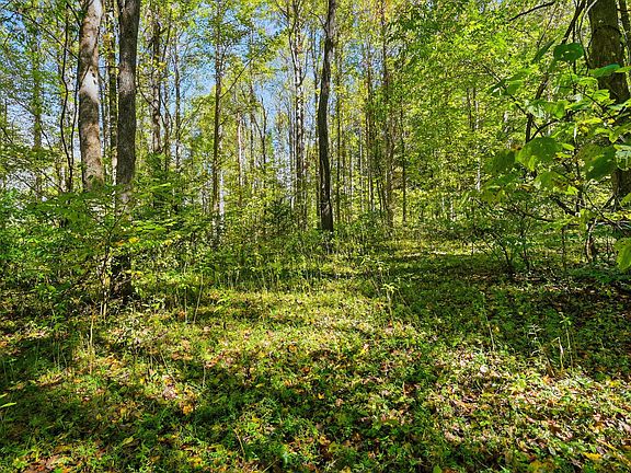 5th image of LOT 2 Timber Lake Dr