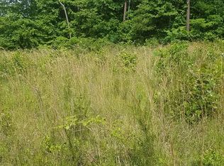 186 Sweet Cherry Ln, Stony Point, NC 28678