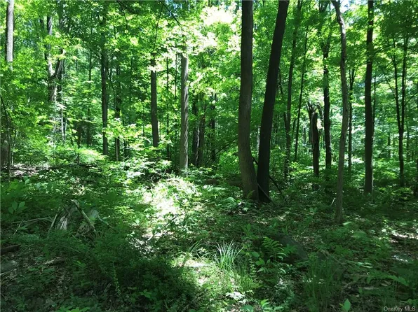 48 Hedges Rd, Warwick, NY 10990